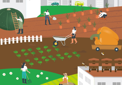 ������ �¶��� ��Ʈ��ŷ ����