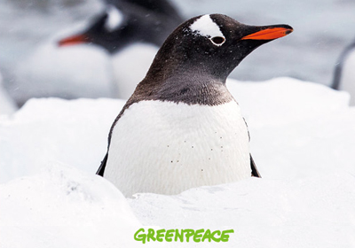 �׸��ǽ� ����������